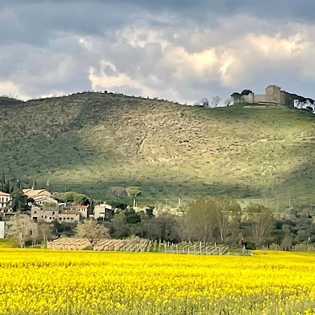 Private Stone Cottage With Starlink & Lake View Tuoro sul Trasimeno Bagian luar foto