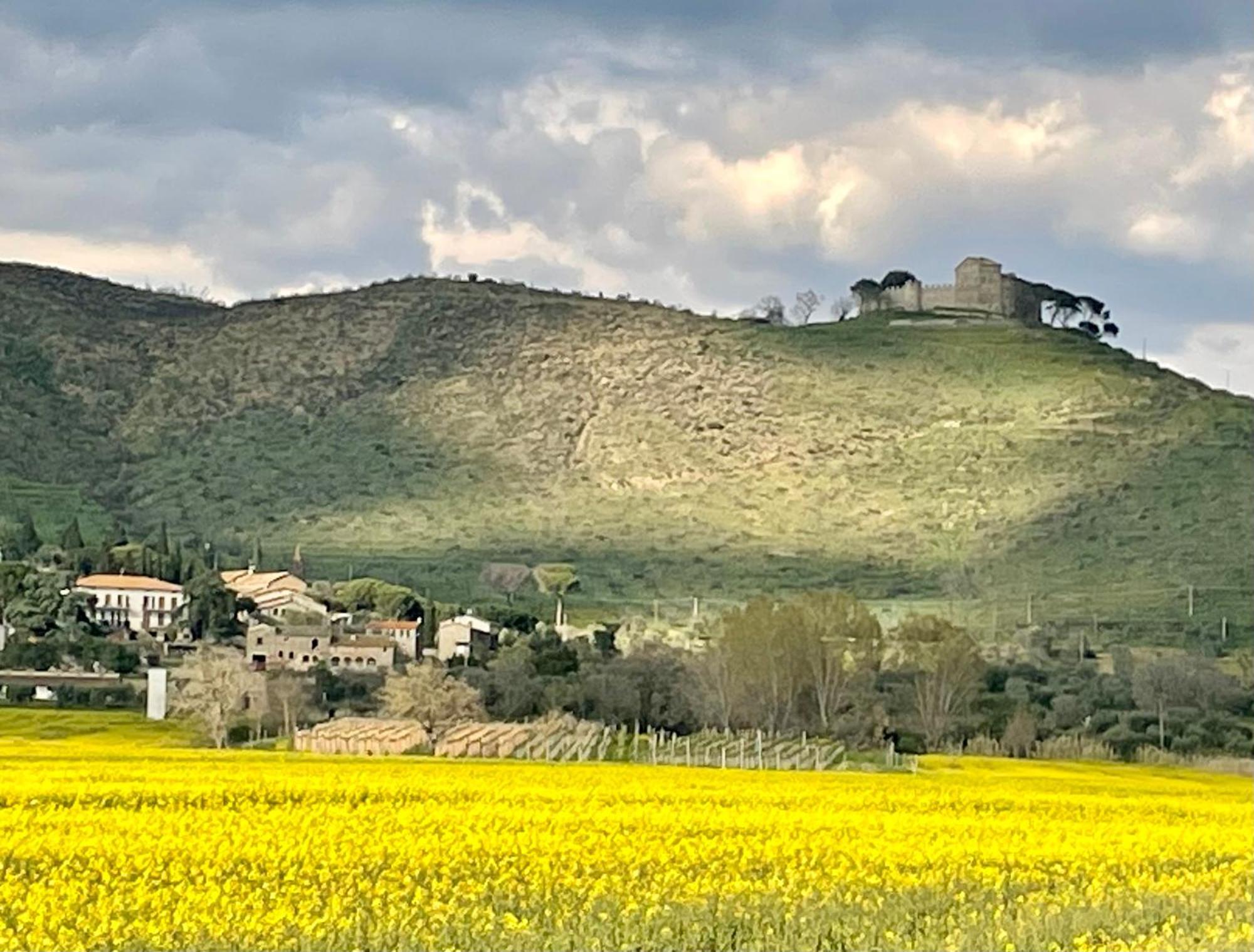 Private Stone Cottage With Starlink & Lake View Tuoro sul Trasimeno Bagian luar foto